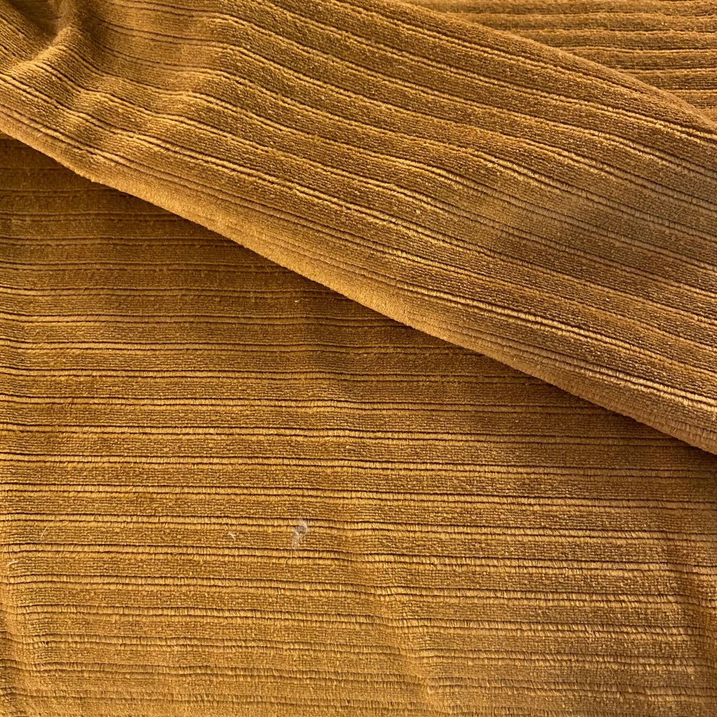 Velours Jersey fin ocre
